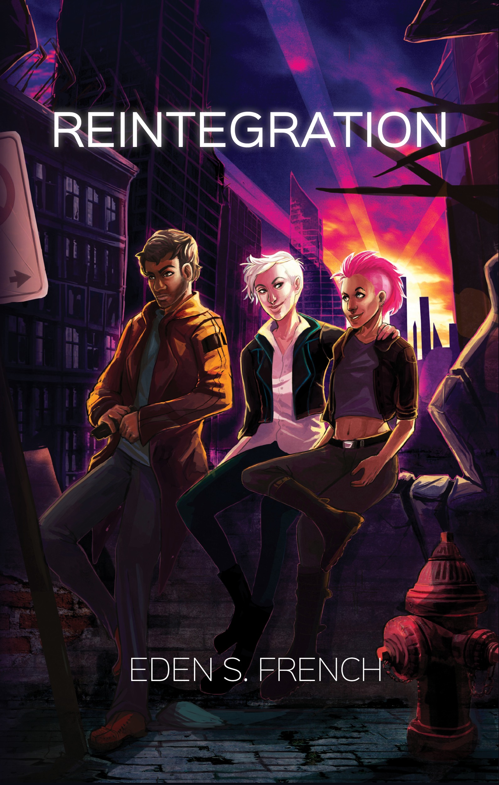 Reintegration book cover