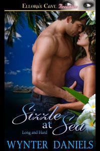 Long and Hard book cover 1