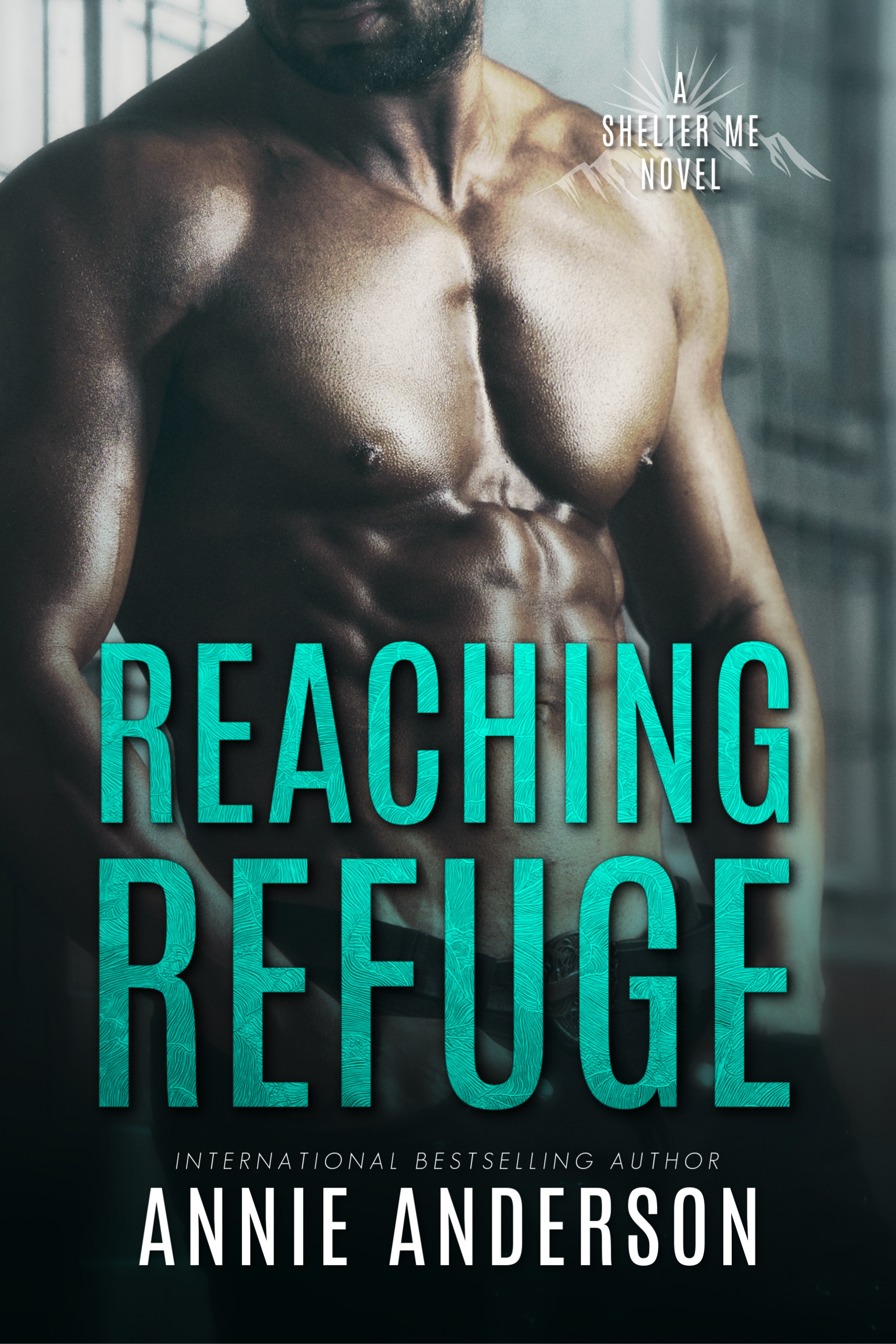 Shelter Me book cover 2