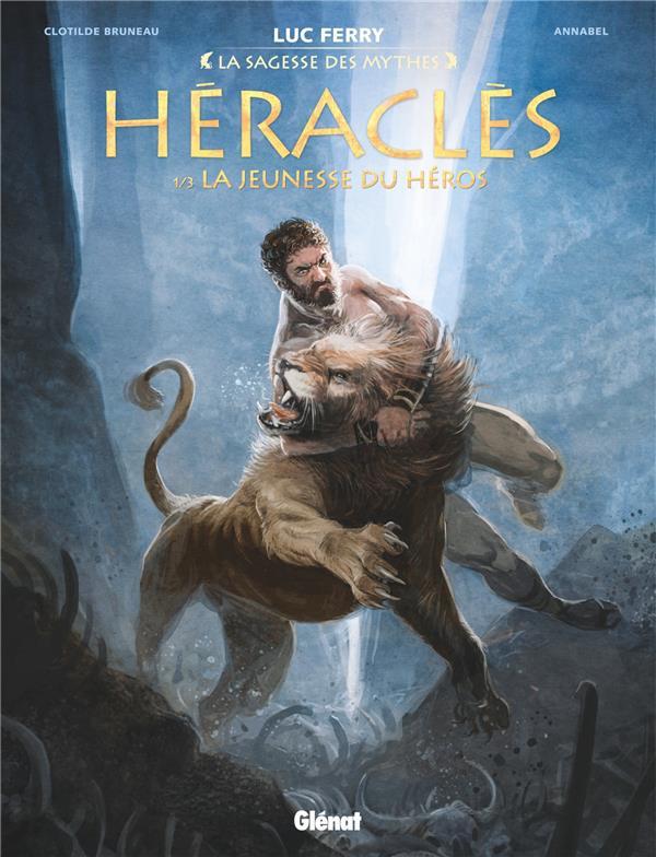 La jeunesse du héros book cover