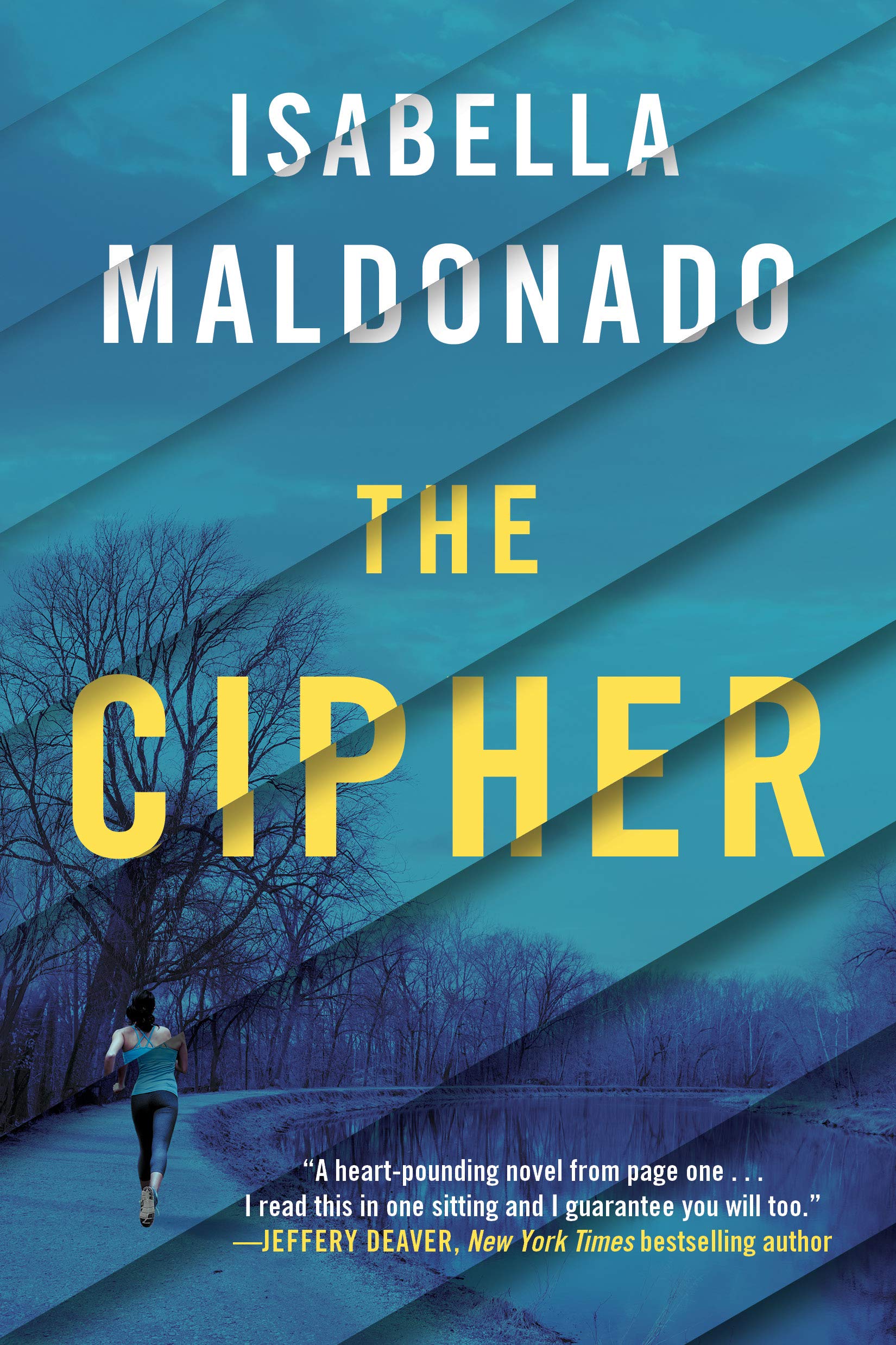 Nina Guerrera book cover 1