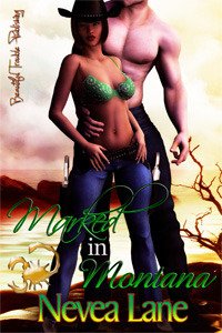 Montana Men book cover 1