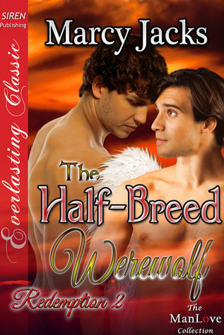 Redemption book cover 2