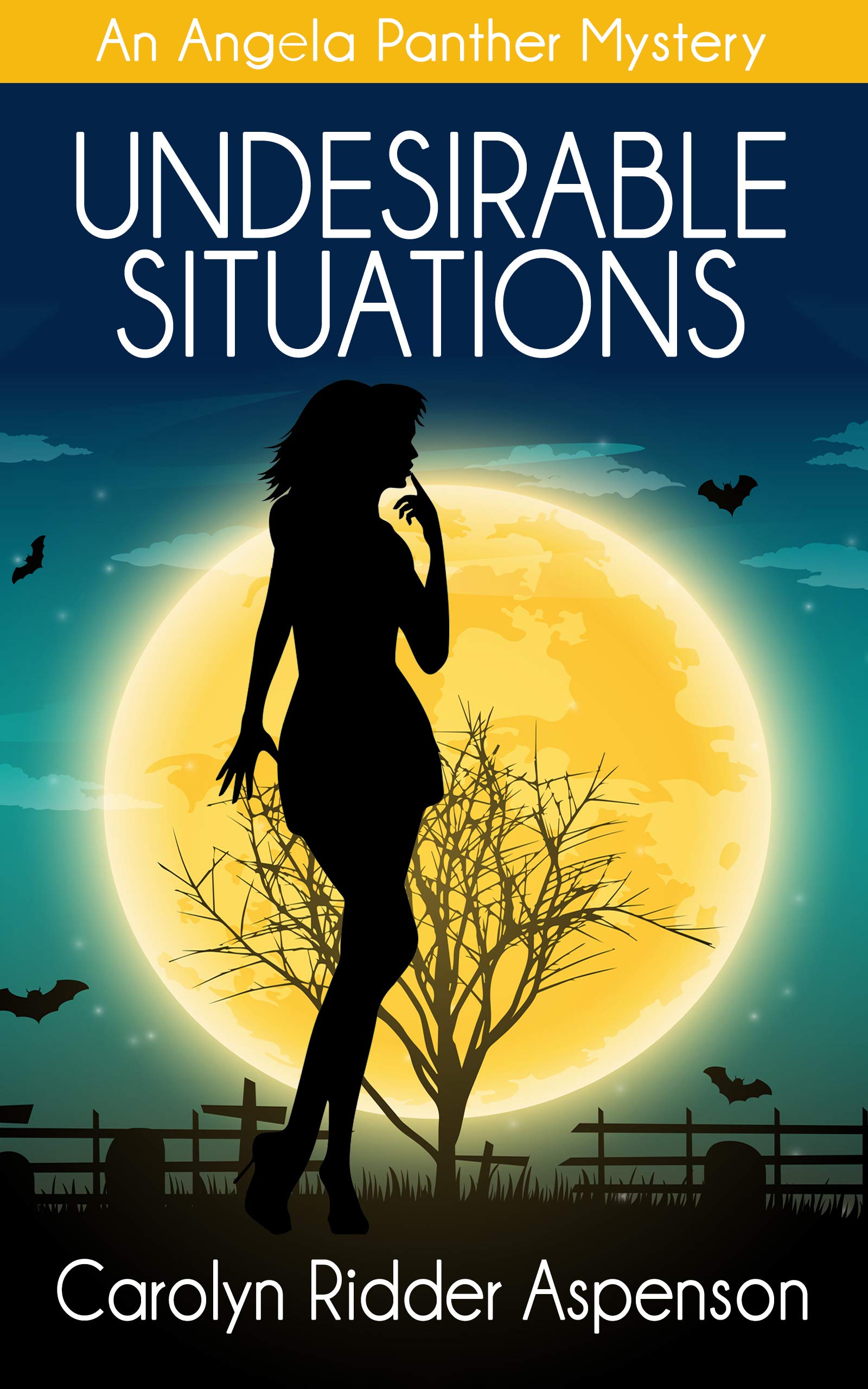 Undesirable Situations book cover