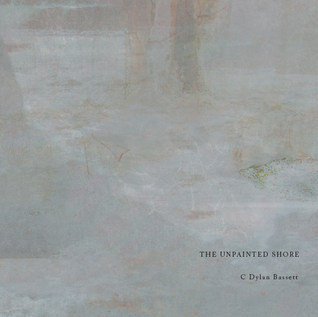 The Unpainted Shore book cover