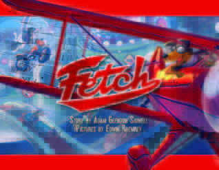 Fetch book cover