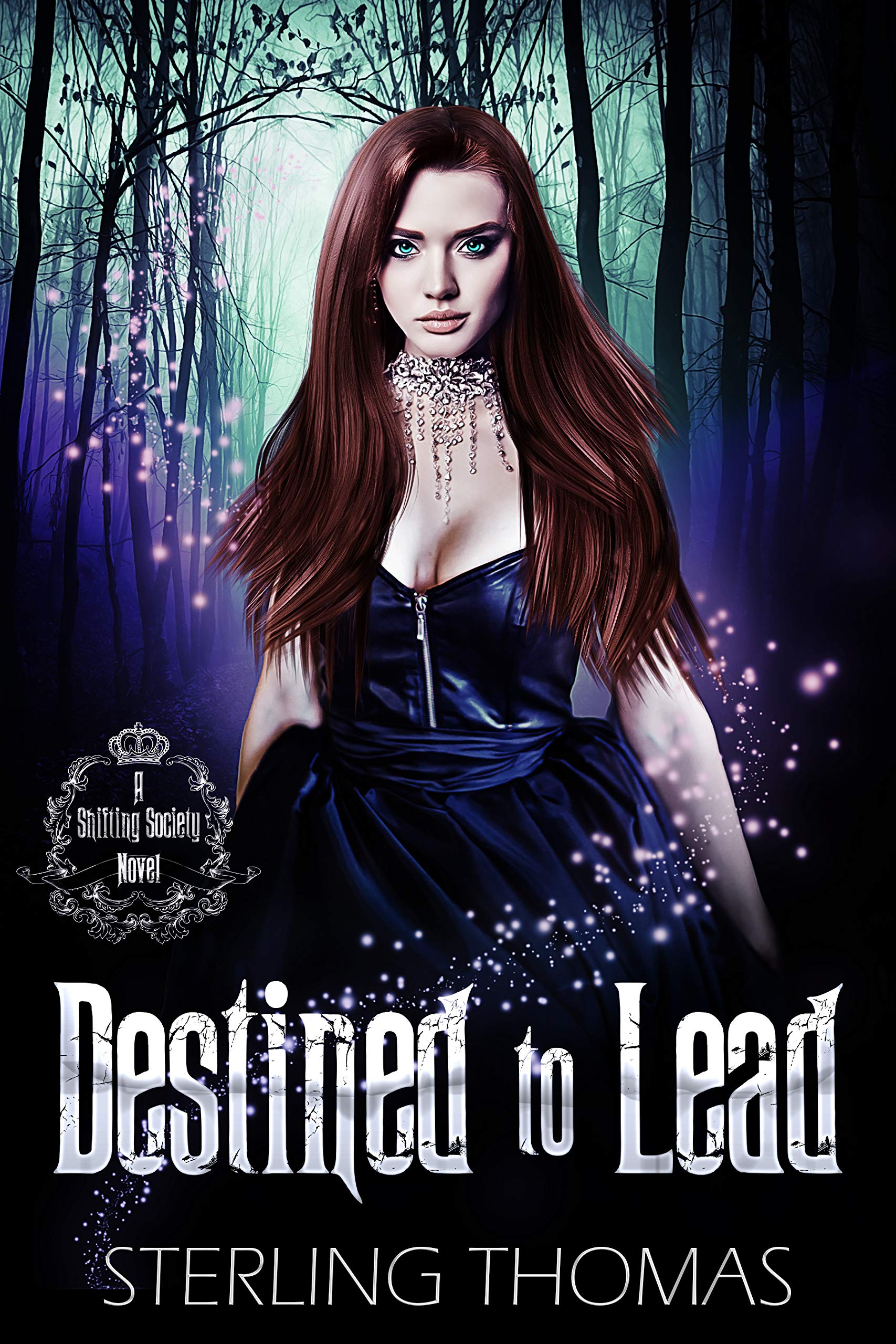 A Shifting Society book cover 3