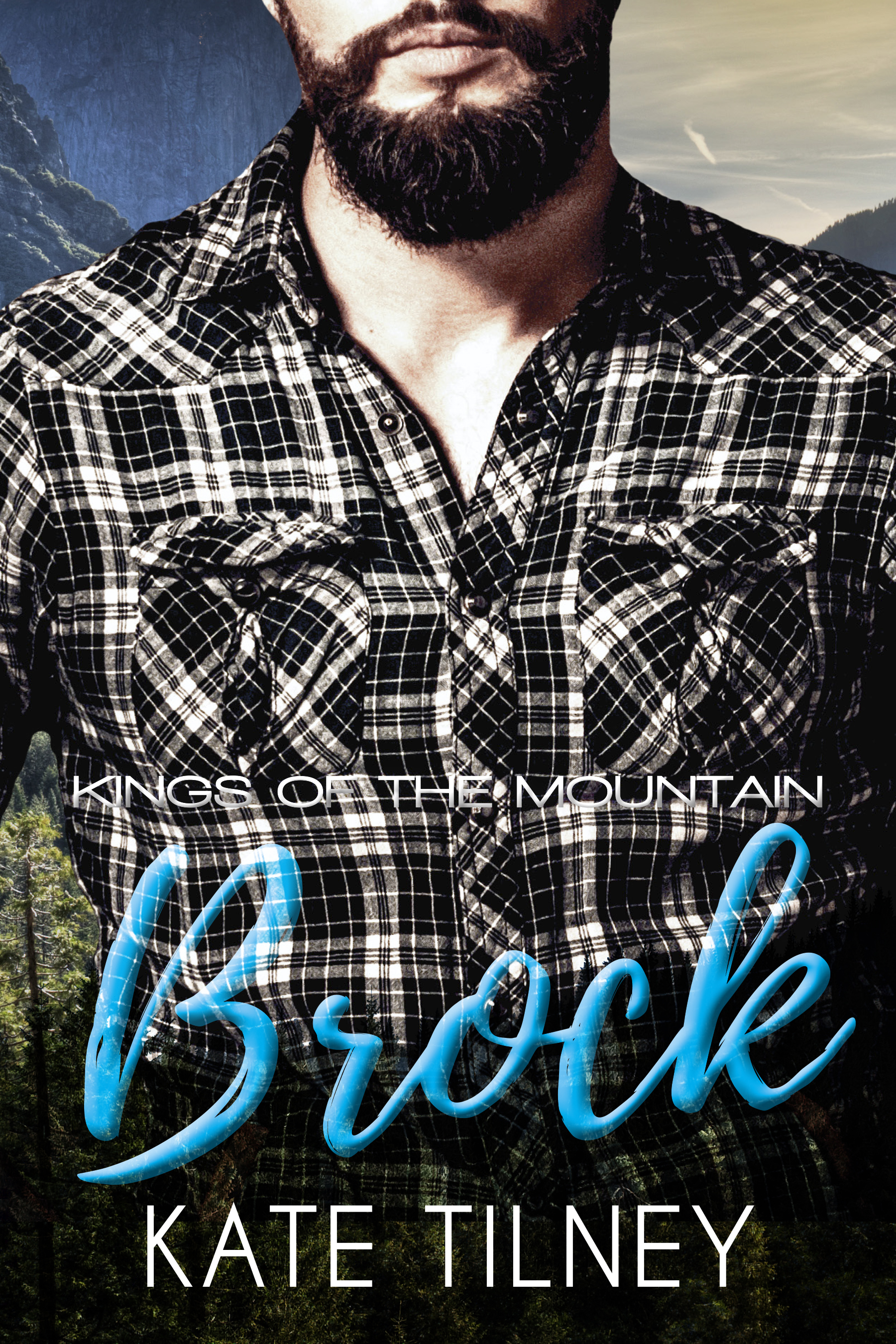 Kings of the Mountain book cover 1
