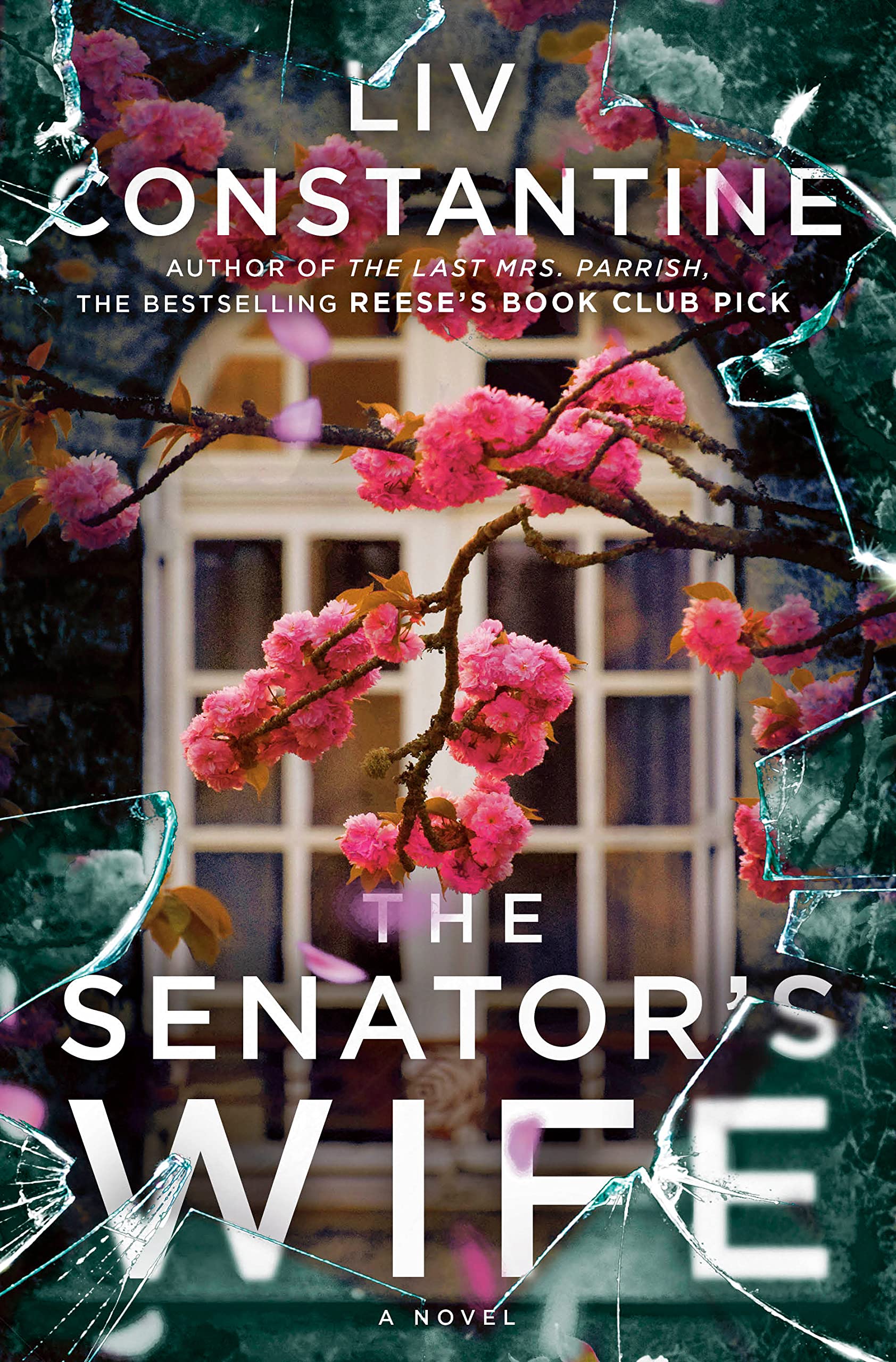 The Senator's Wife book cover