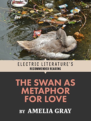 The Swan as Metaphor for Love book cover