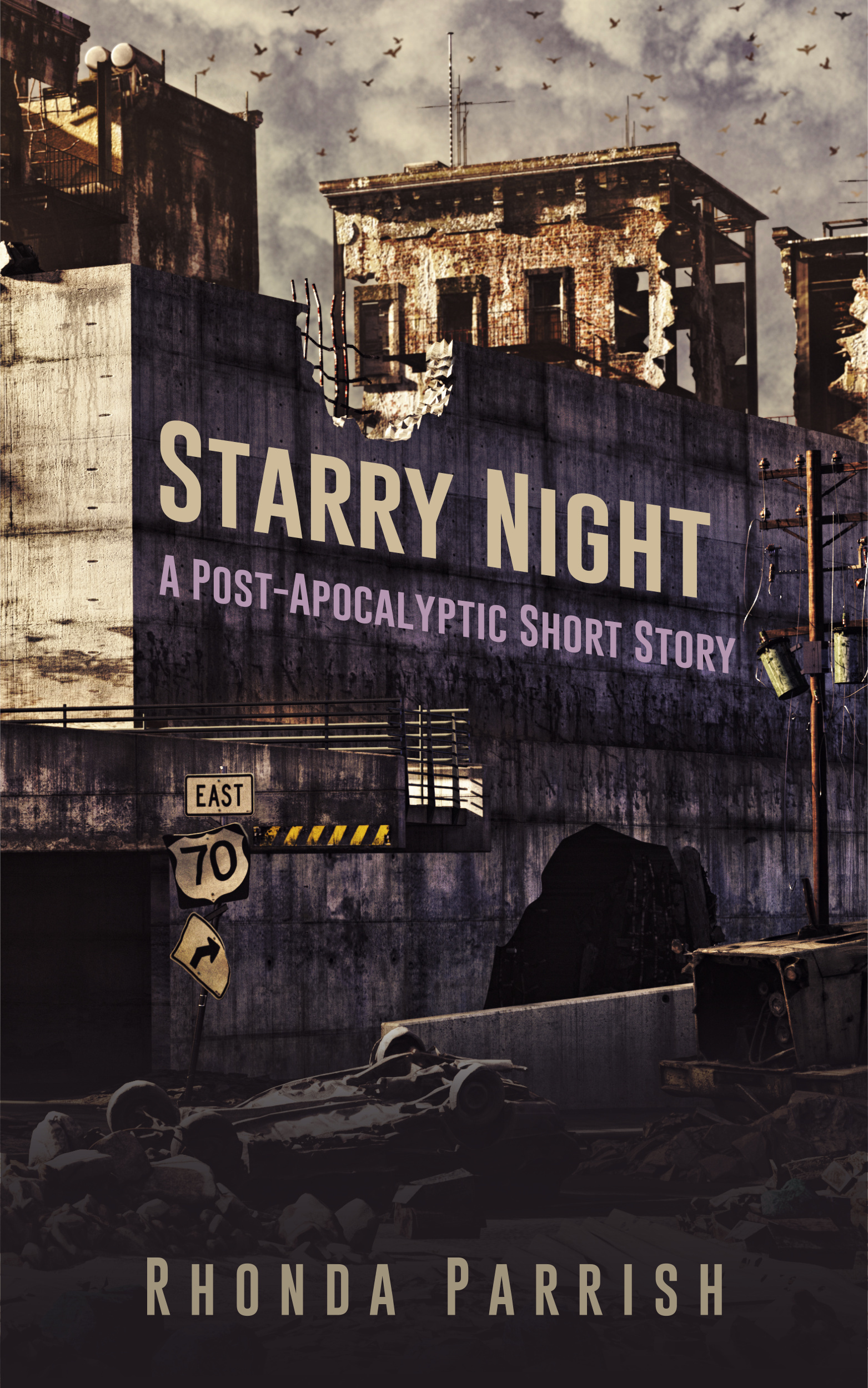 Starry Night book cover