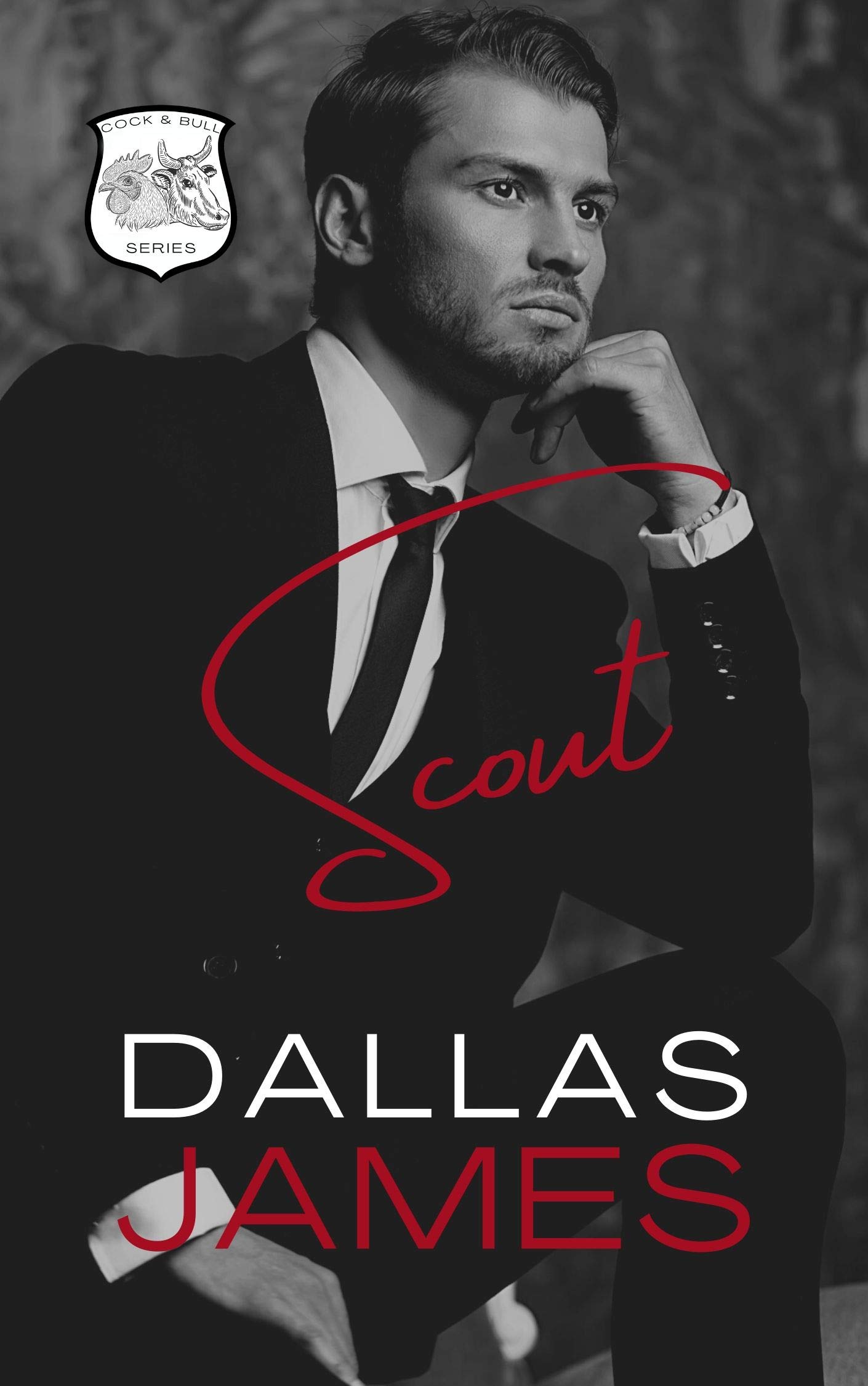 Cock & Bull book cover 1