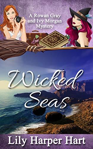 Wicked Seas book cover