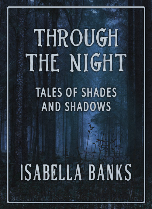 Through the Night book cover