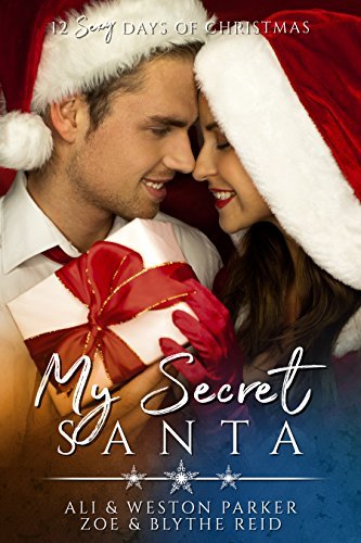 The Parker's 12 Days of Christmas book cover 3