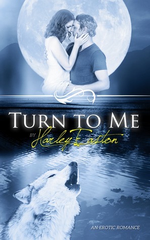 Turn To Me book cover