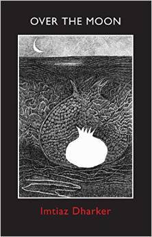 Over the Moon book cover
