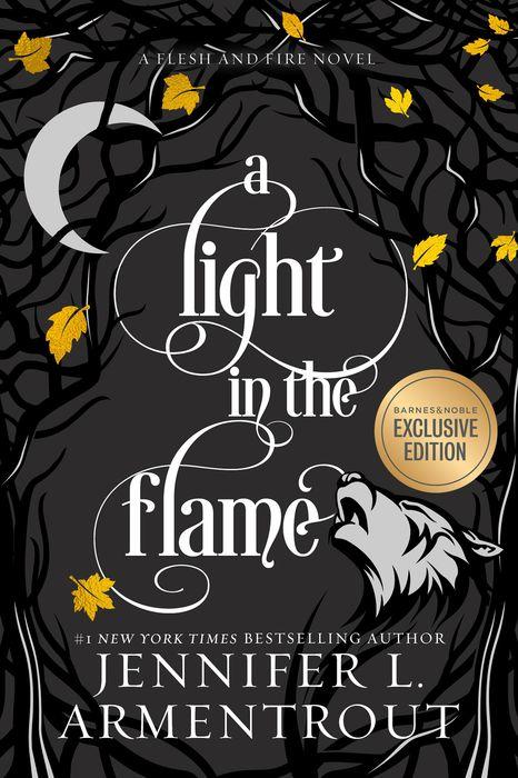 Flesh and Fire book cover 2
