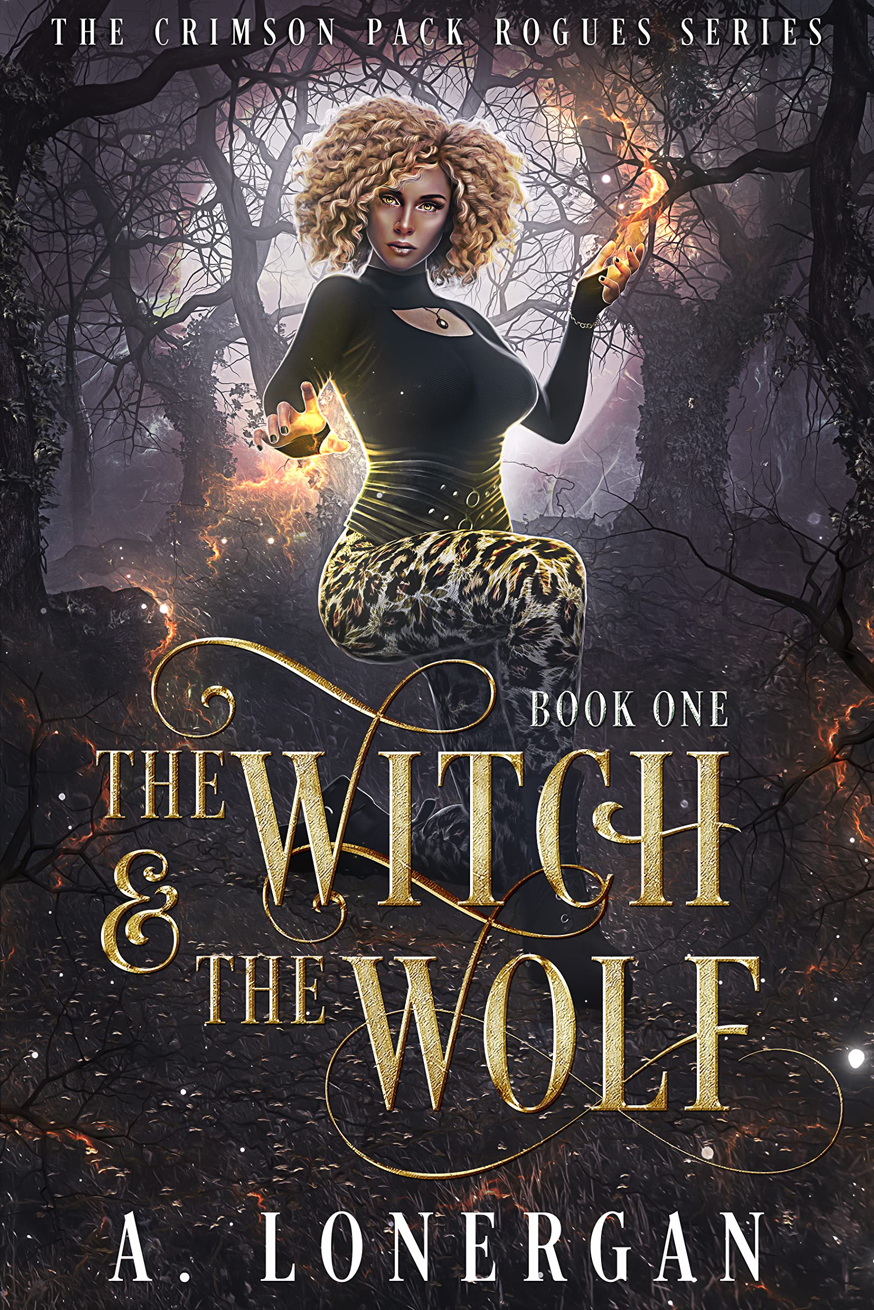 The Witch and the Wolf book cover