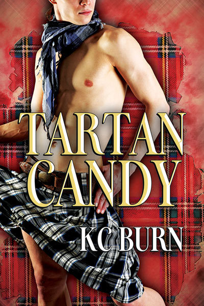 Fabric Hearts book cover 1
