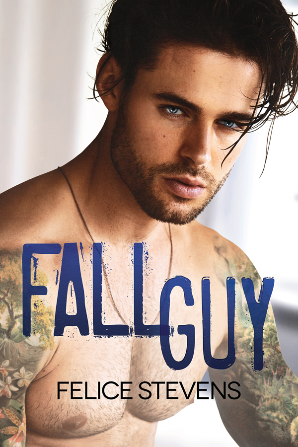 Fall Guy book cover