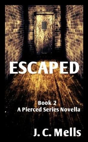 Pierced book cover 2