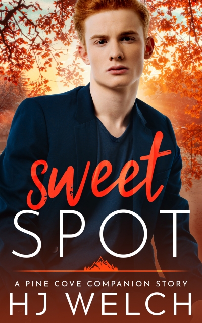 Sweet Spot book cover