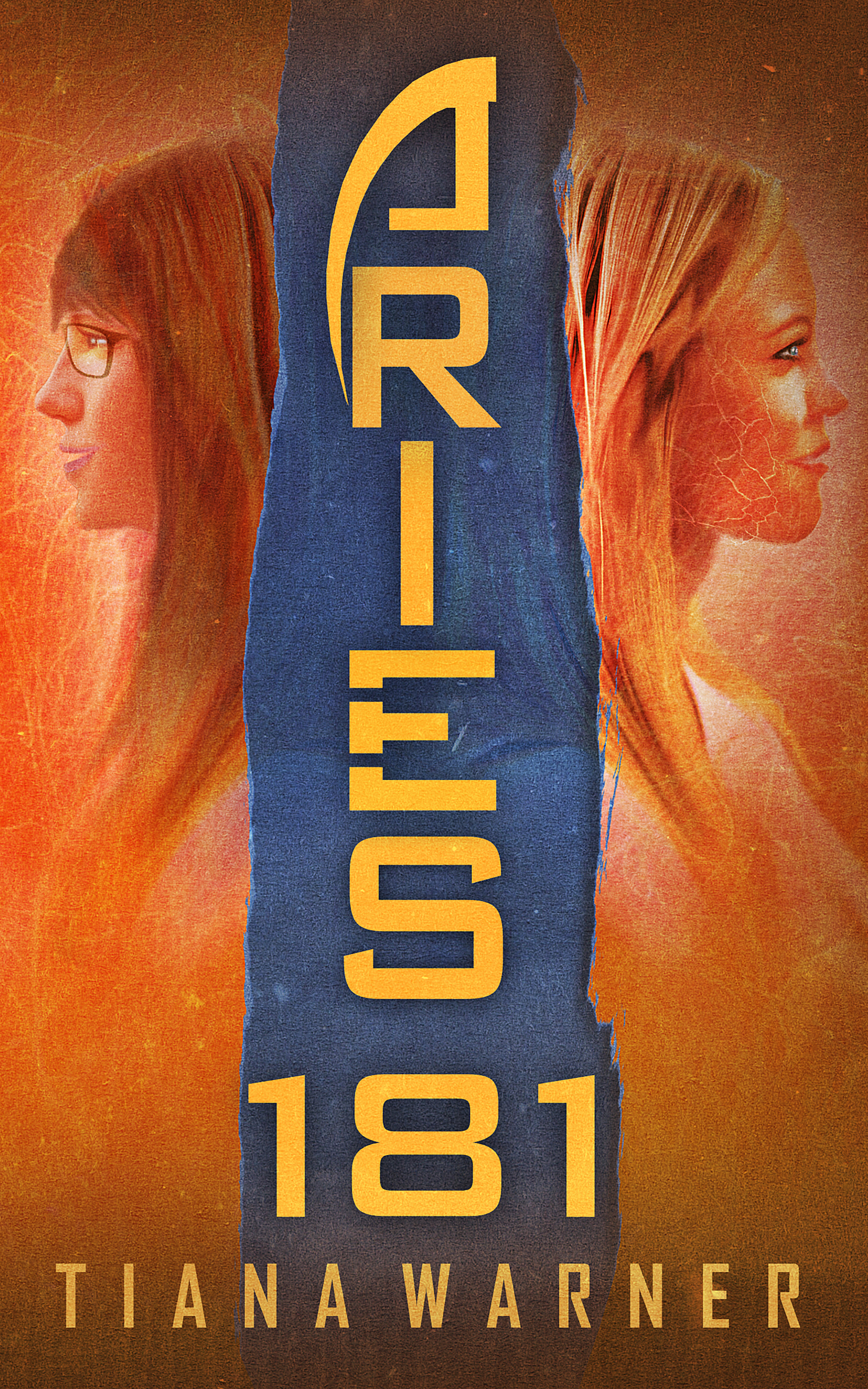 Aries 181 book cover