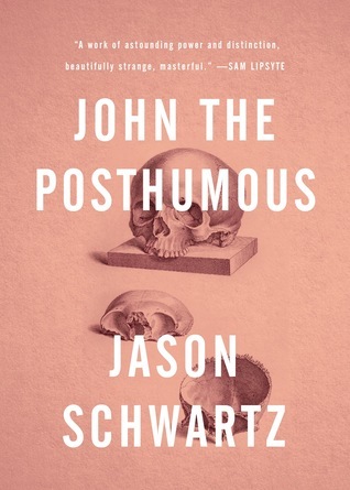 John the Posthumous book cover