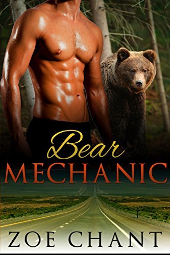 Bear Mechanic book cover