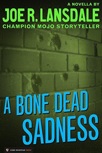 A Bone Dead Sadness book cover