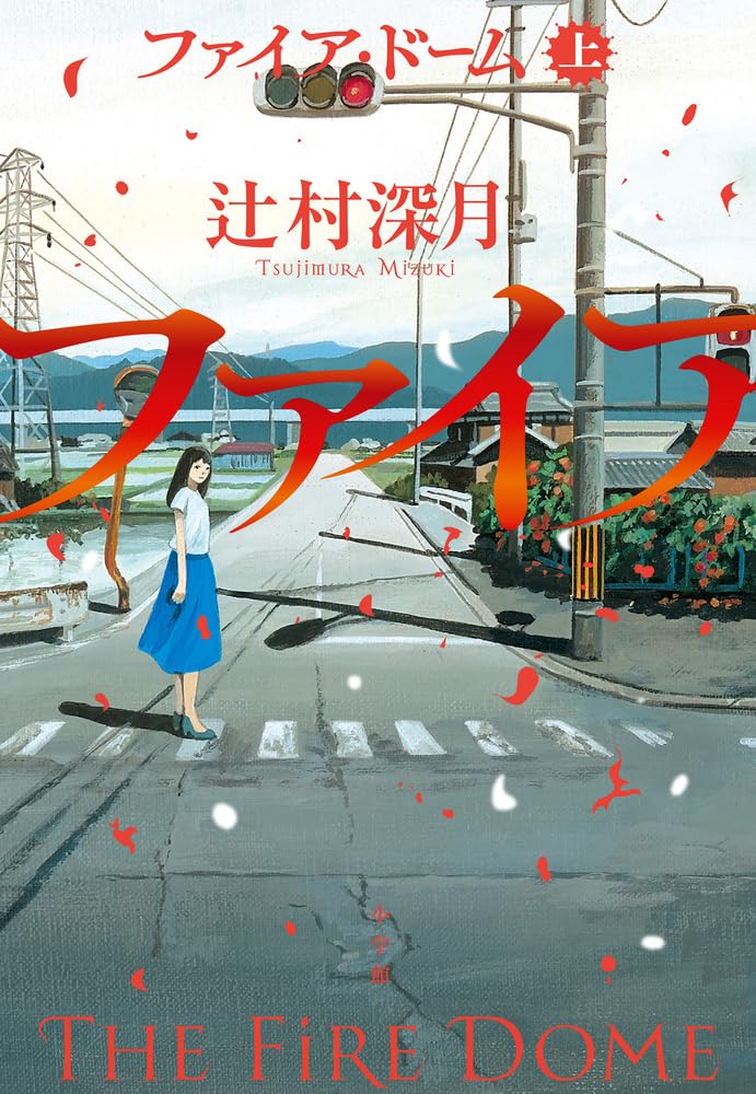 ファイア・ドーム (上) book cover