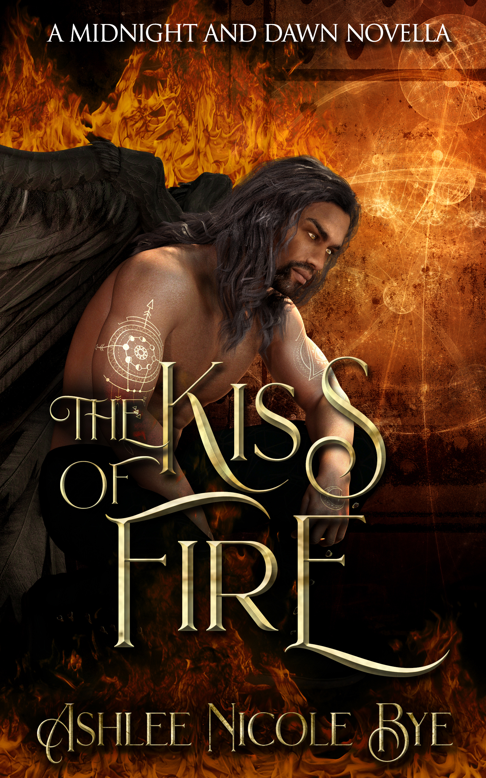 Midnight and Dawn: The Phoenix Cycle book cover 1