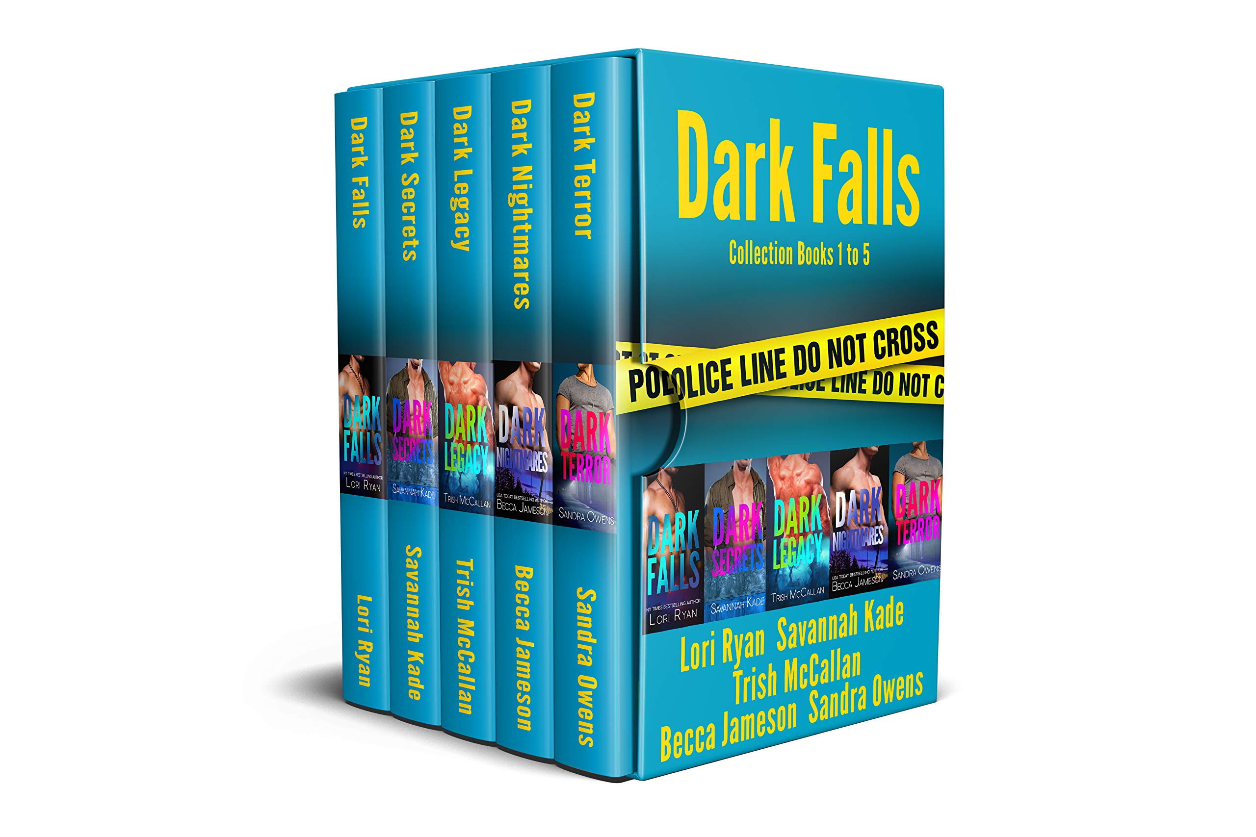 Dark Falls Box Set 1-5 book cover