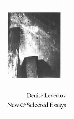 New and Selected Essays book cover