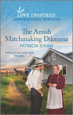 The Amish Matchmaking Dilemma book cover