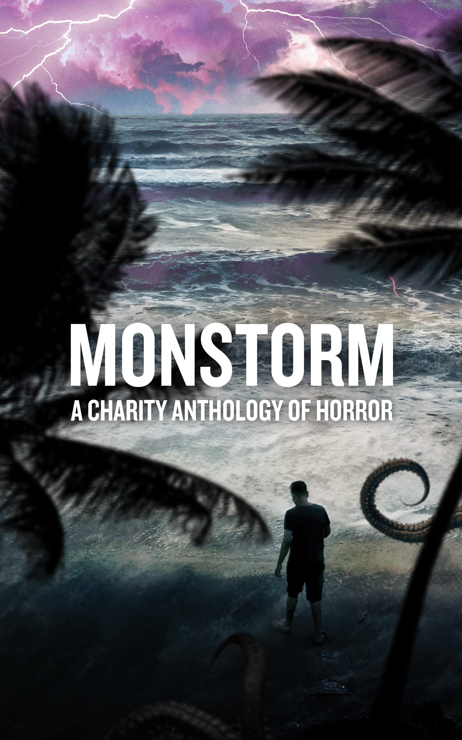 Monstorm book cover