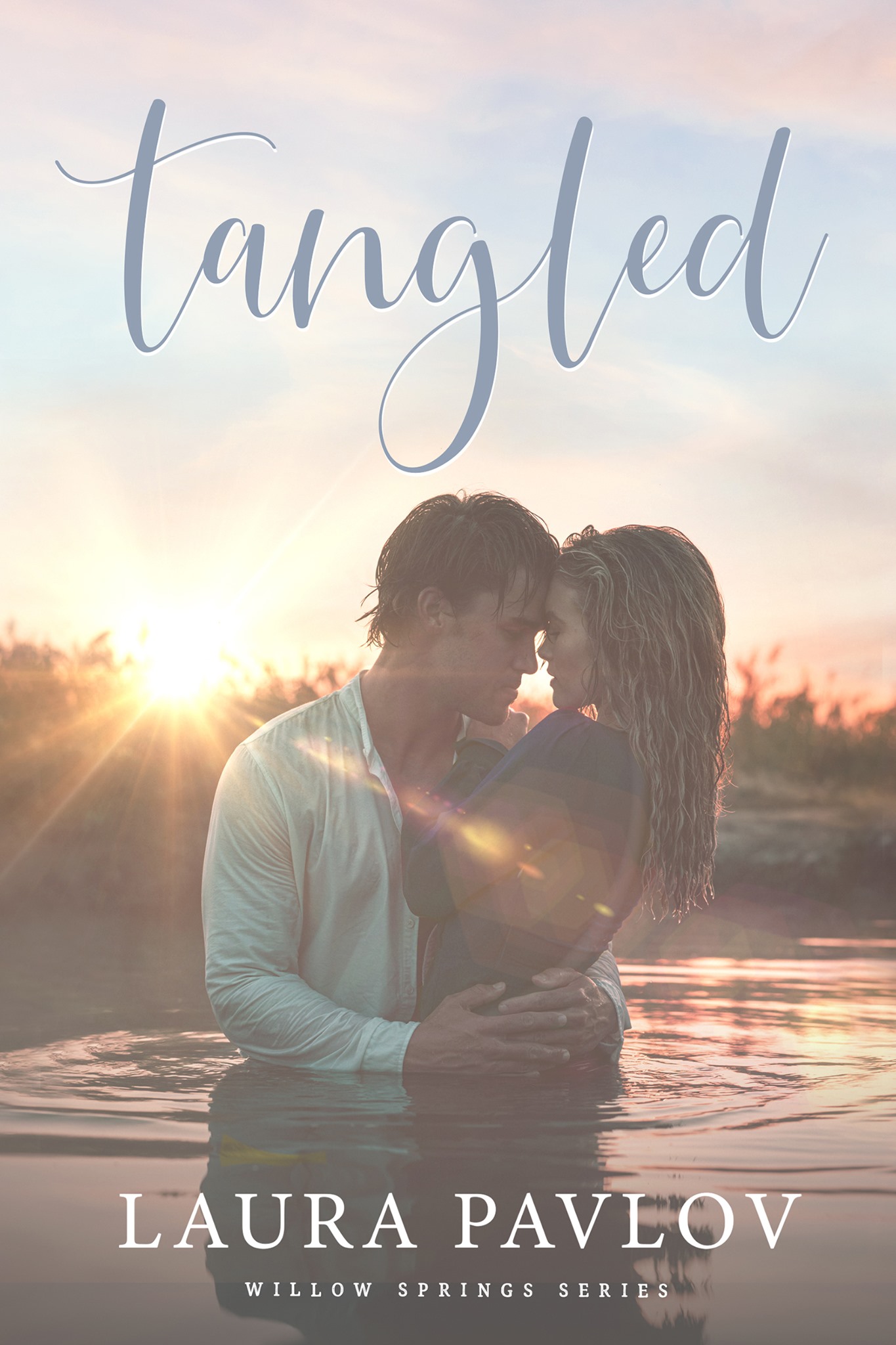 Willow Springs book cover 2