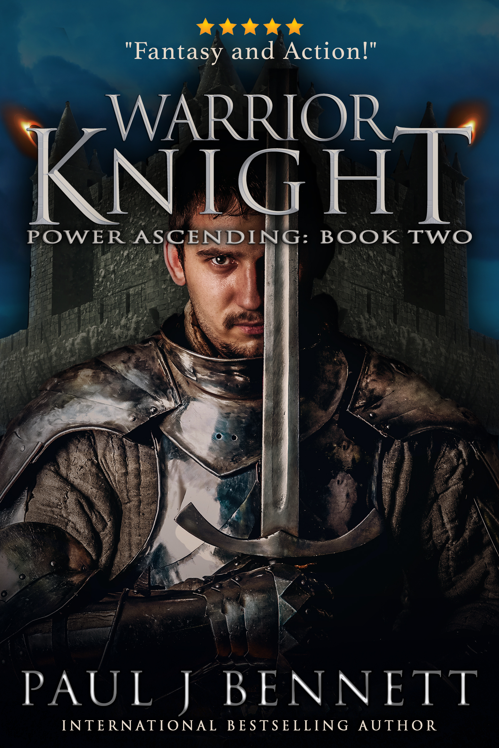 Warrior Knight book cover