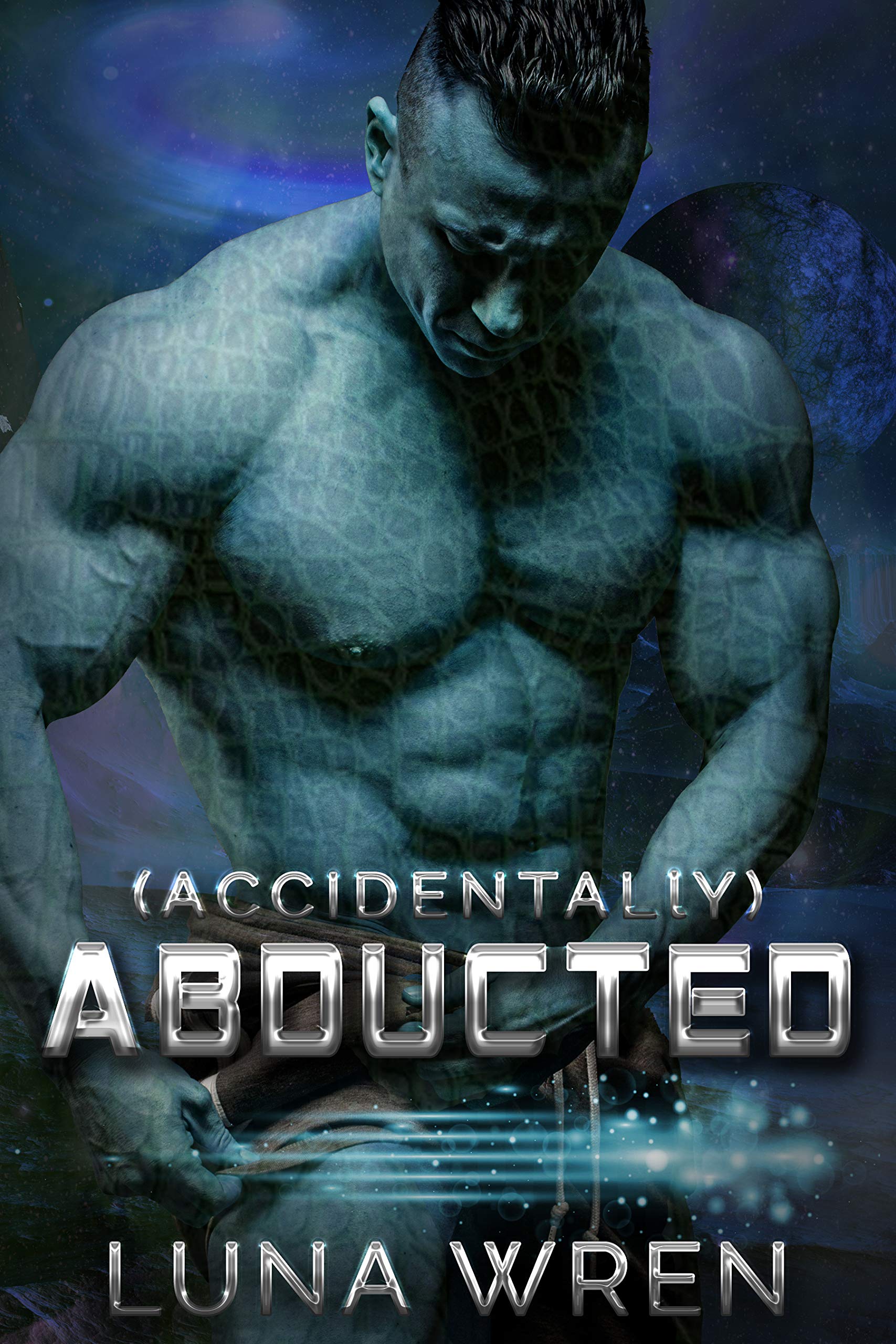 Accidentally Abducted book cover