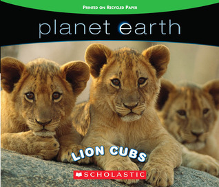 Lion Cubs book cover