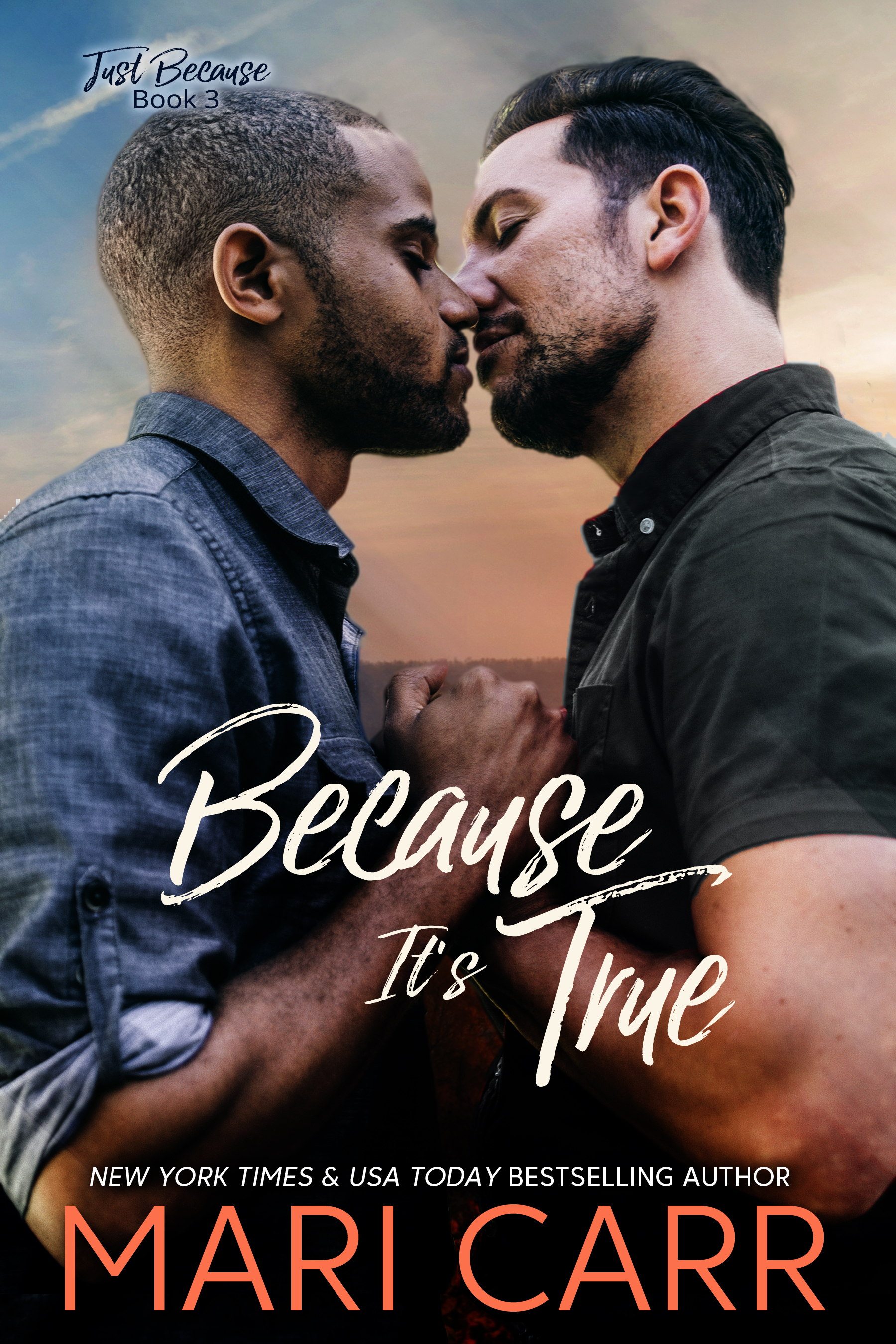 Just Because book cover 3
