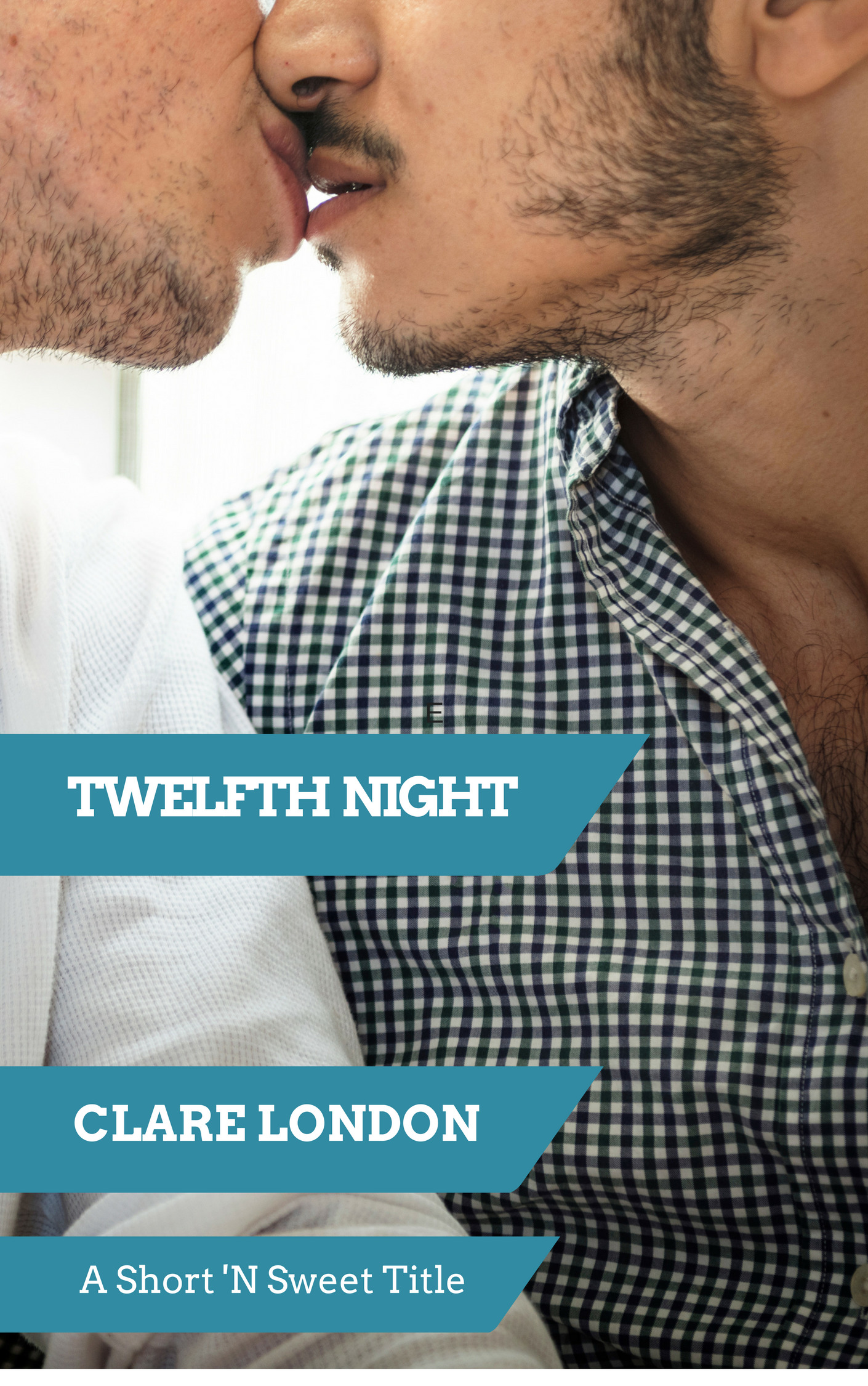 Twelfth Night book cover