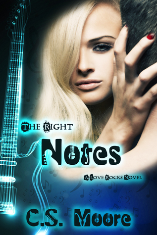 Love Rocks book cover 1