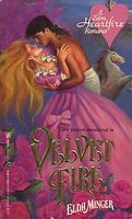 Velvet Fire book cover