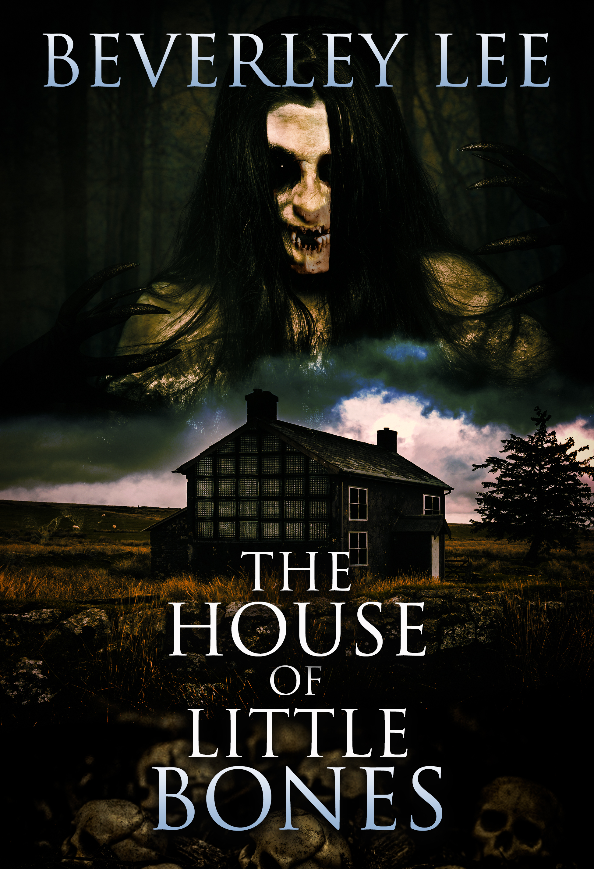 The House of Little Bones book cover