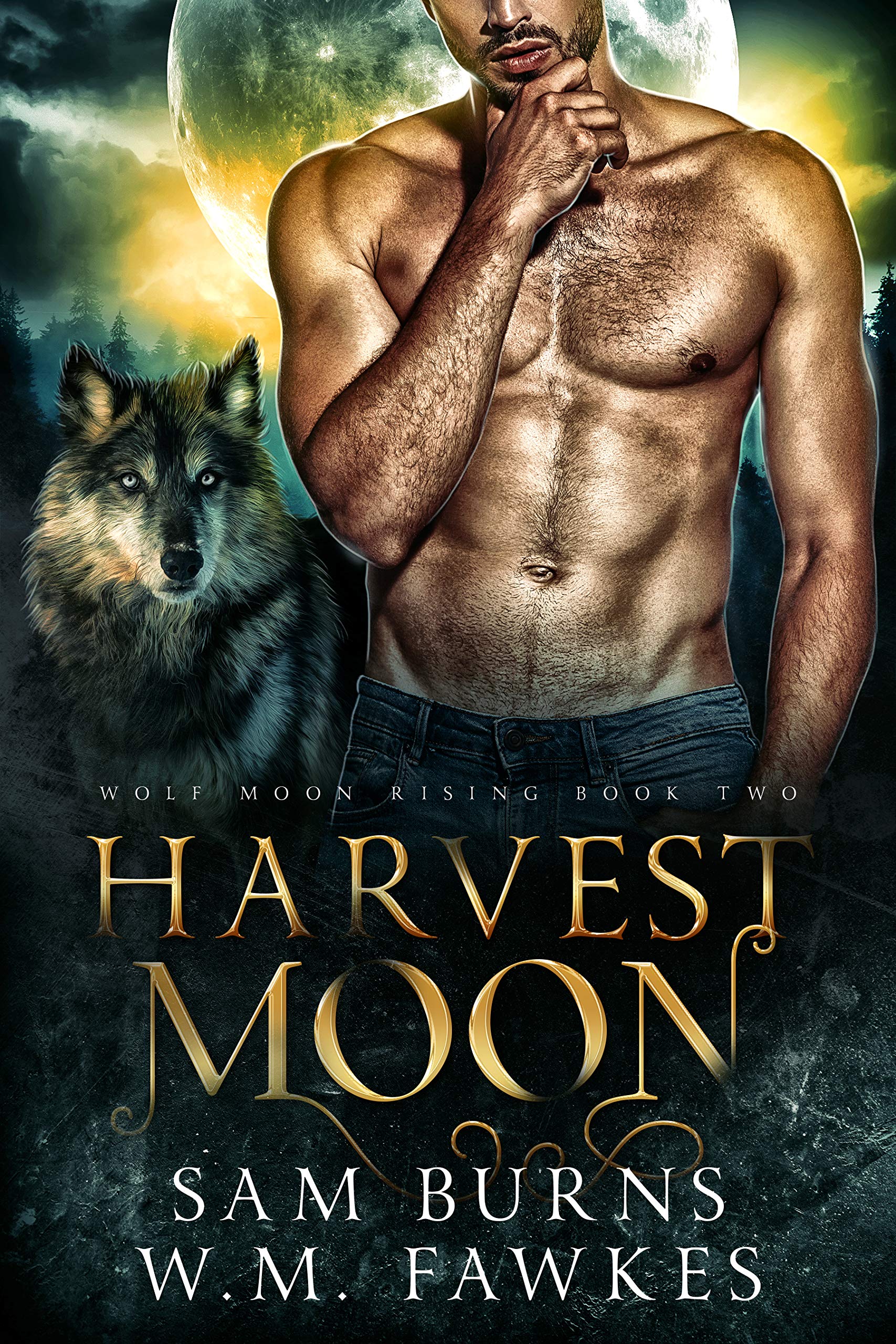 Wolf Moon Rising book cover 2