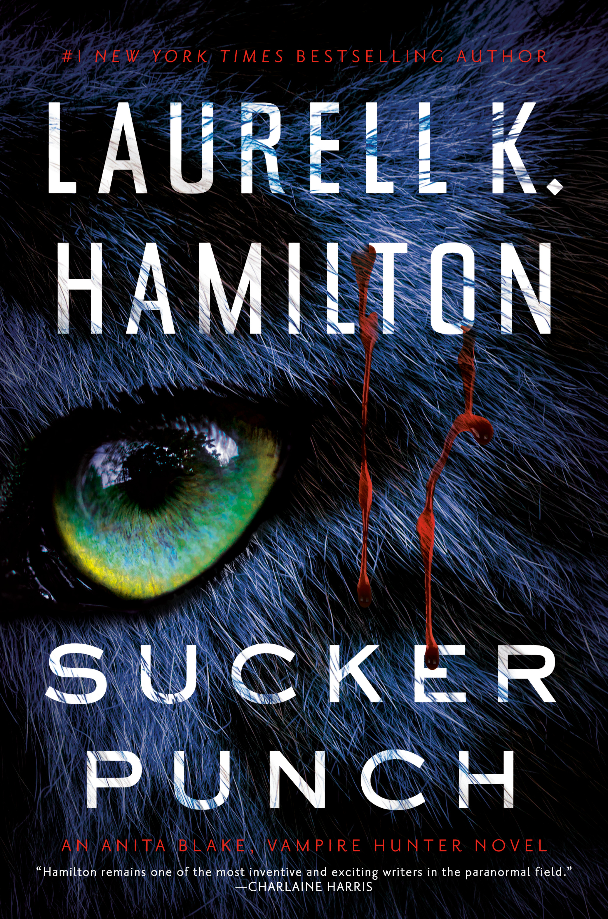 Sucker Punch book cover