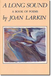 A Long Sound book cover