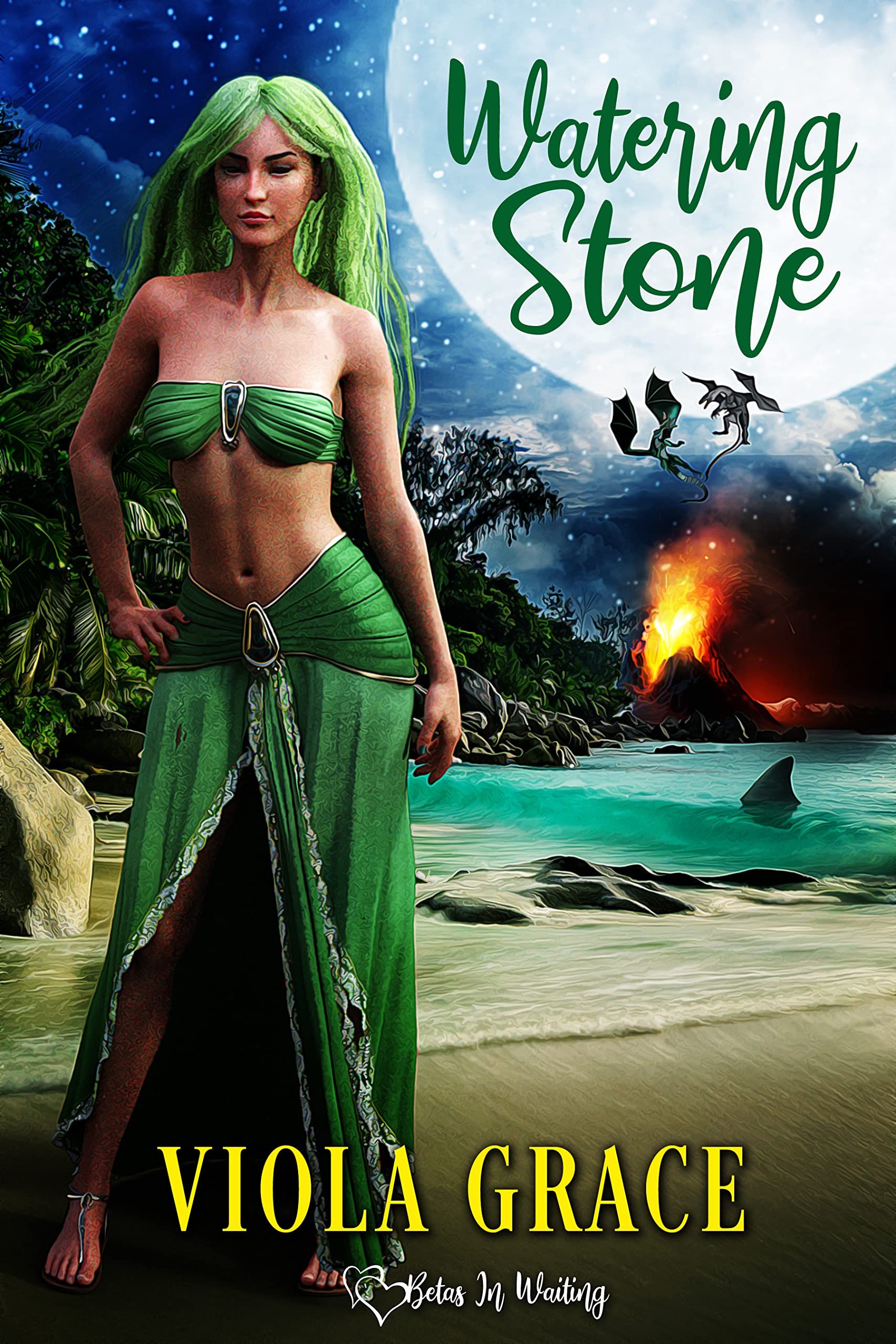 Watering Stone book cover